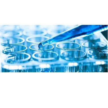 PCR Services